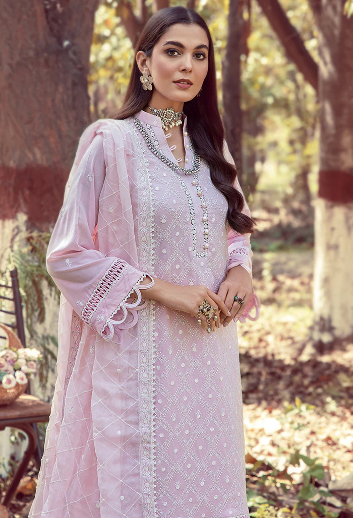 5071 - Mushk - Image 2