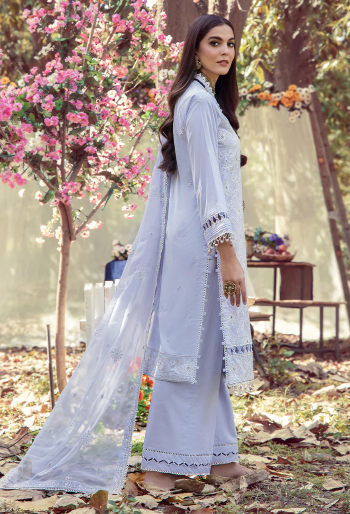 5073 - Mushk - Image 2
