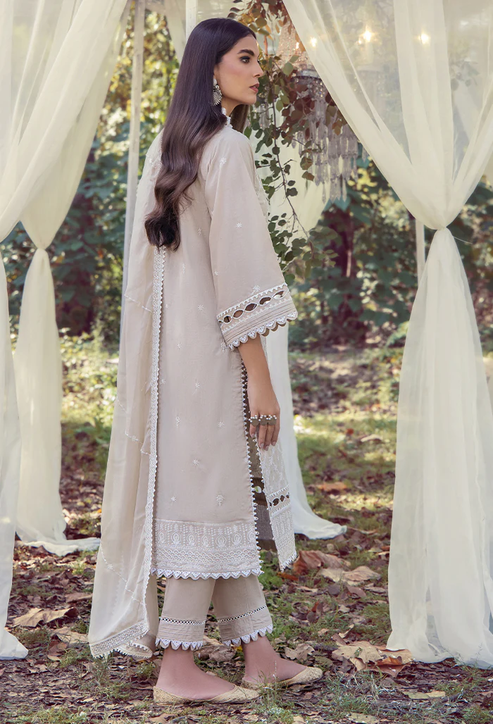 5074 - Mushk - Image 2