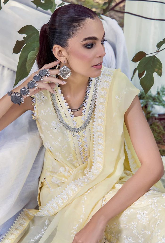 5076 - Mushk - Image 3