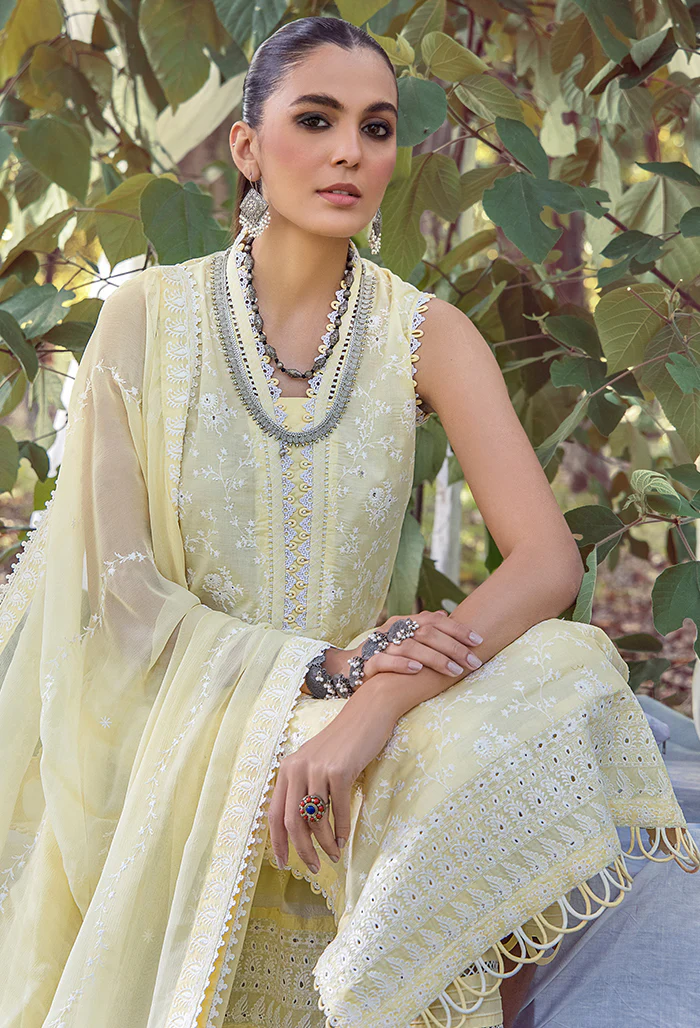 5076 - Mushk - Image 4