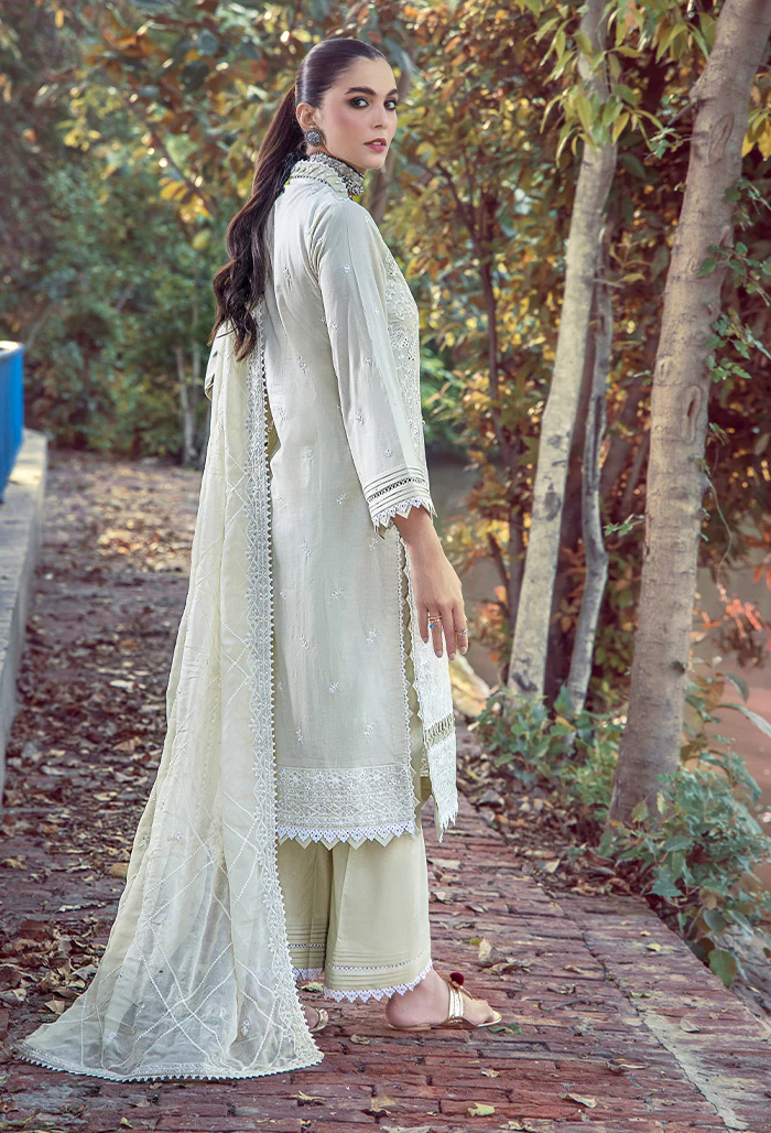 5079 - Mushk - Image 2
