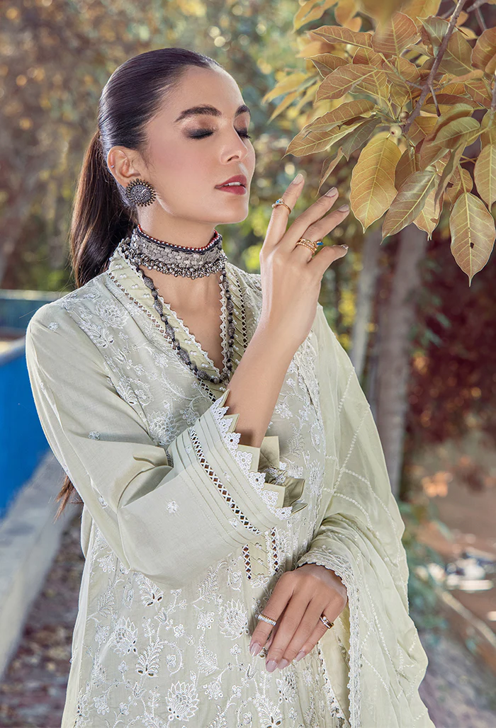 5079 - Mushk - Image 3