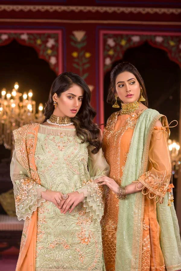 Aashiyana - Luxury Embroidered & Hand Embellished Organza - Image 2