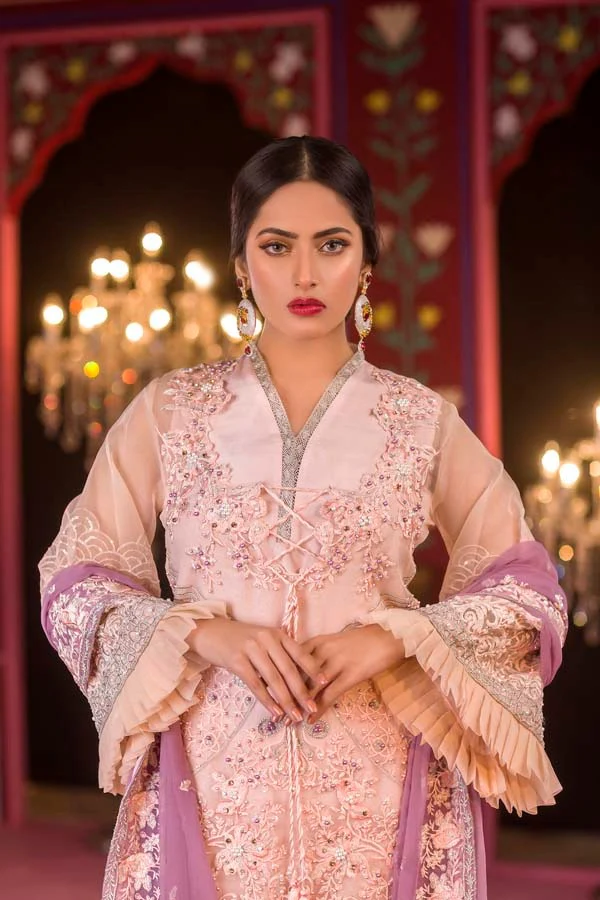 Aashnaa - Luxury Embroidered & Hand Embellished Organza - Image 2