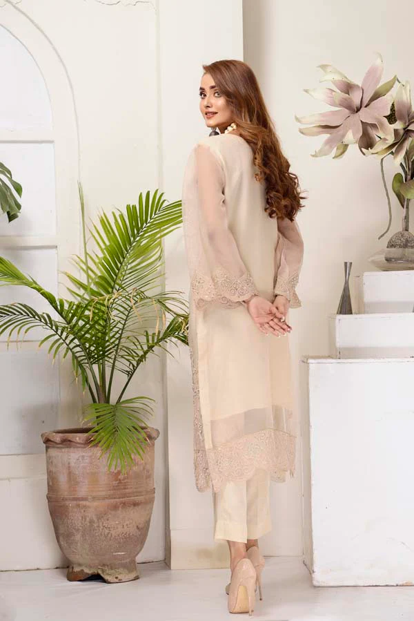 Cashmere - Hand Embellished Embroidered Organza 2 Piece - Image 4
