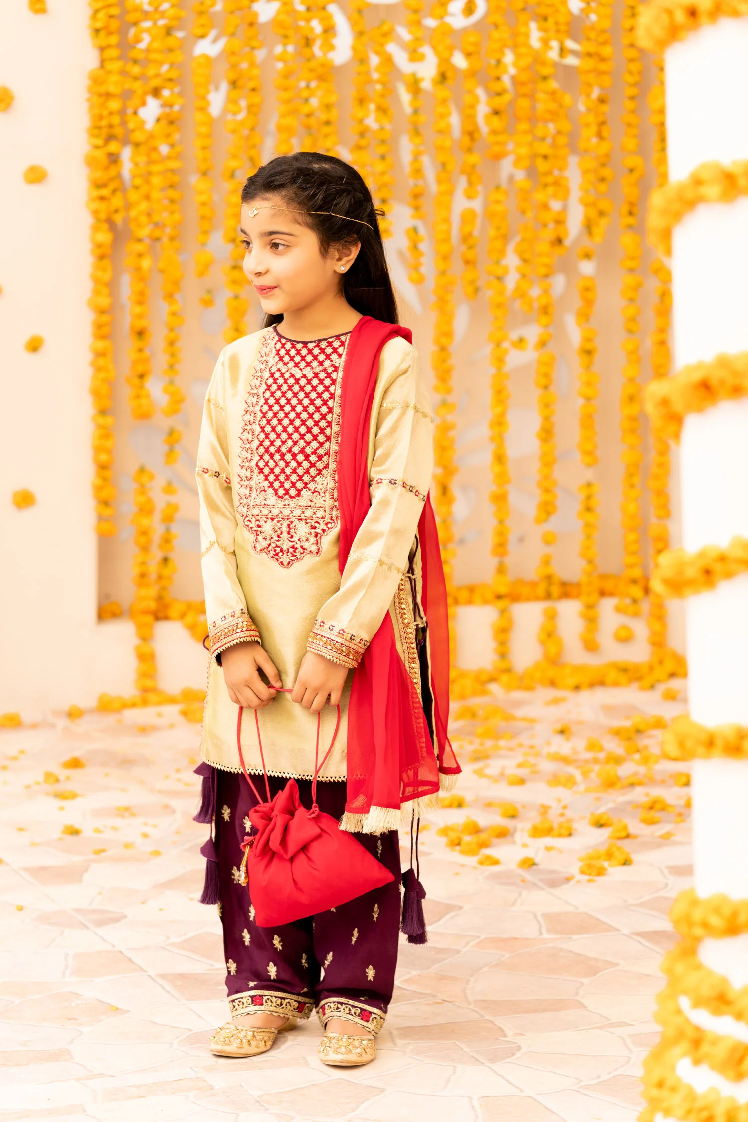 Embroidered Banarasi Suit - Image 3
