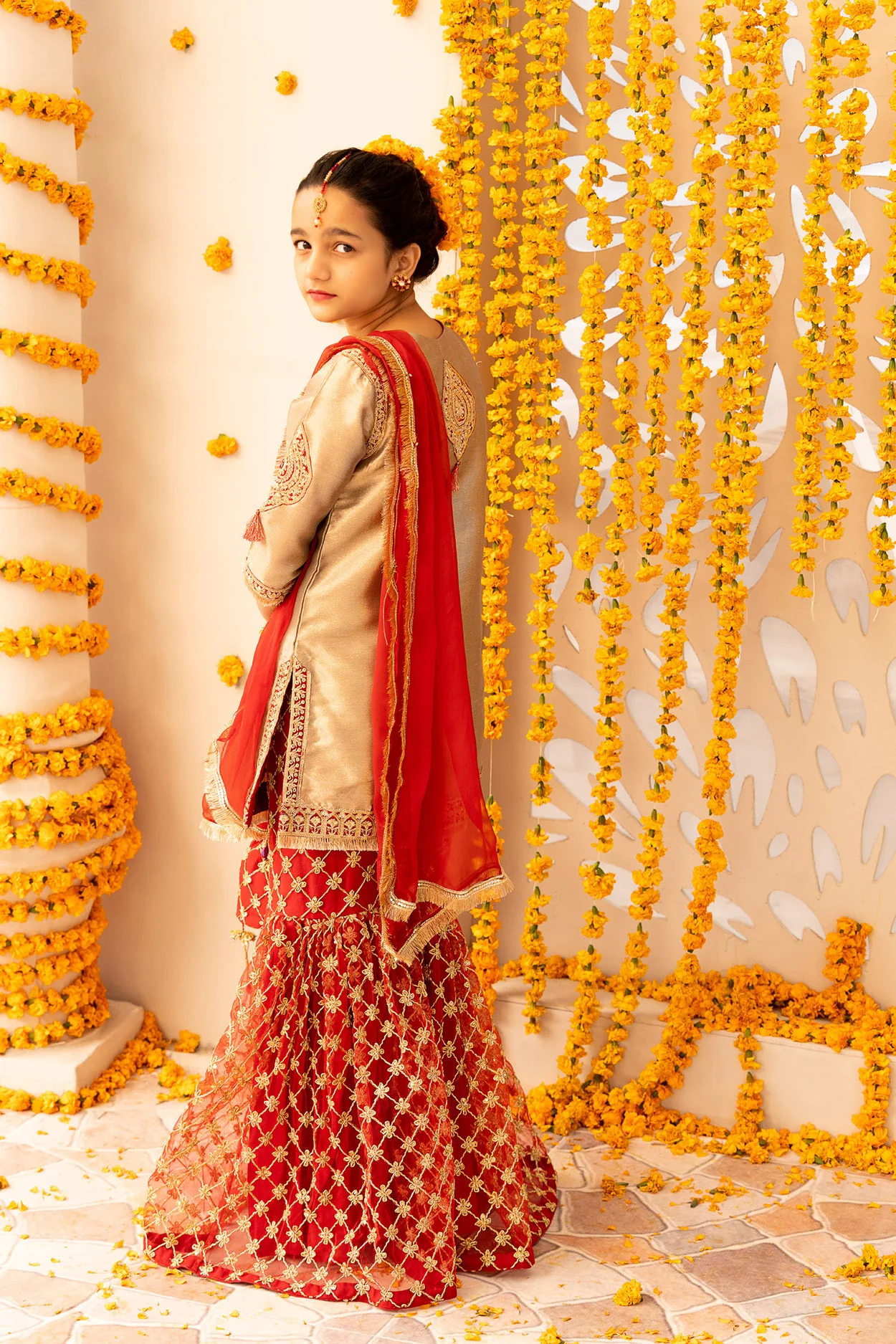 Embroidered Banarasi Suit - Image 2